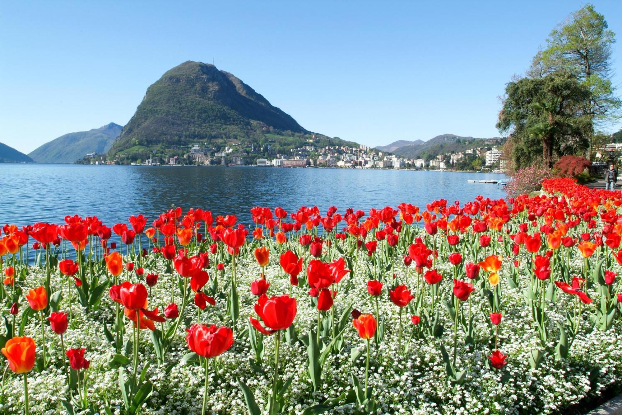 Little Lugano - Happy Rentals Dış mekan fotoğraf